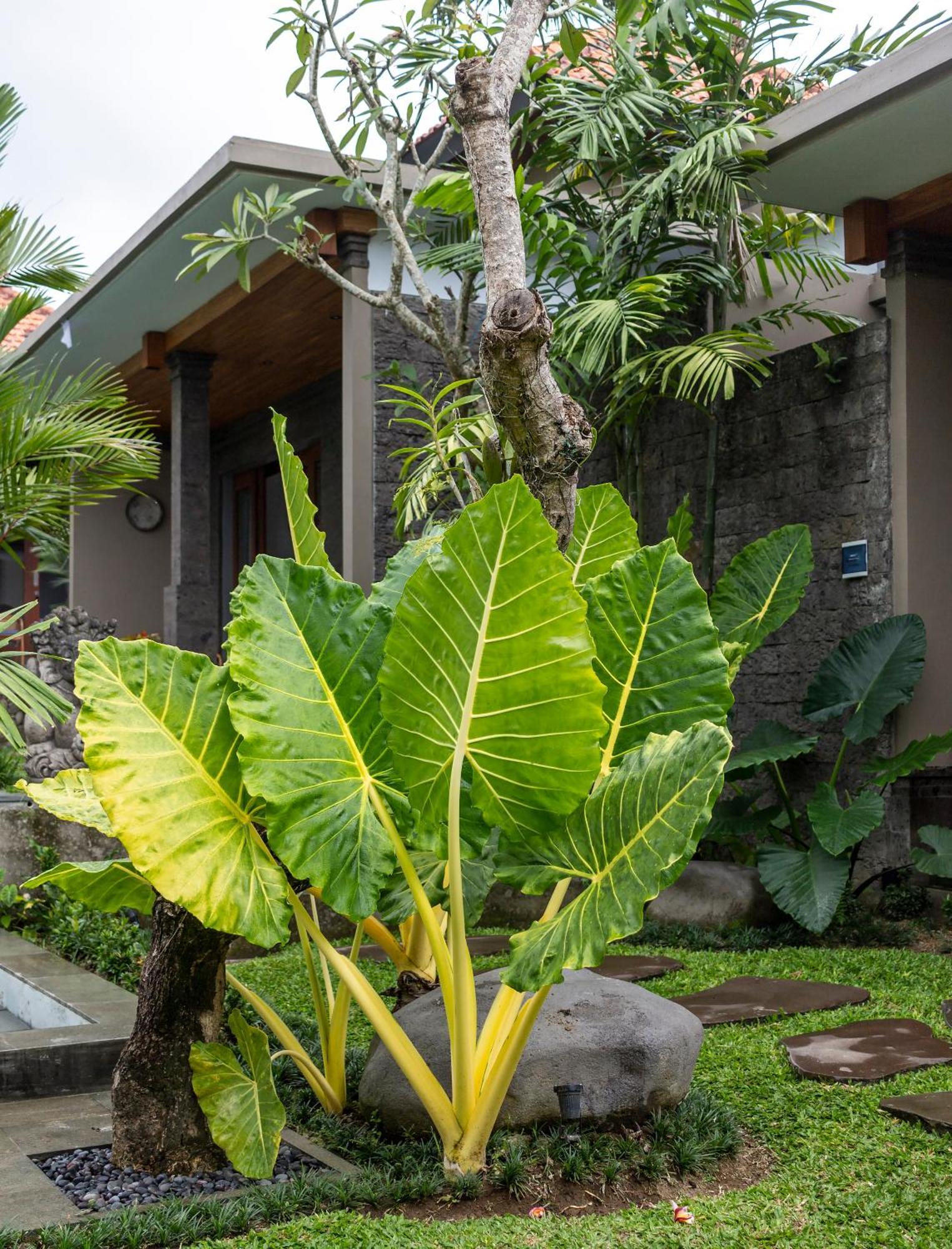 Royal Cottage Private Villa Ubud Esterno foto